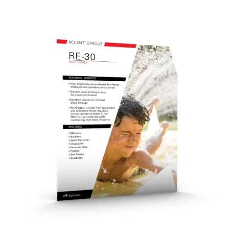 Accent Sell Sheet: RE-30